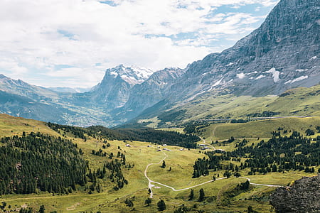 aerial photography of trees surrounded by mountains thumbnail