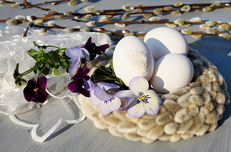 purple petal flower with eggs on fabric nest thumbnail