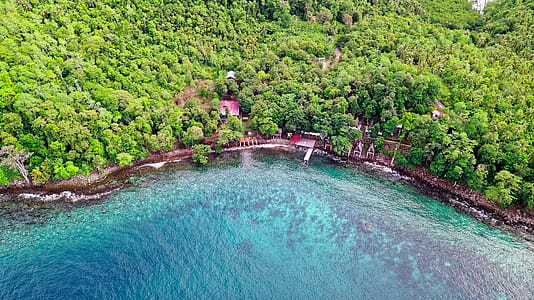 Aerial Photography of Coastline thumbnail