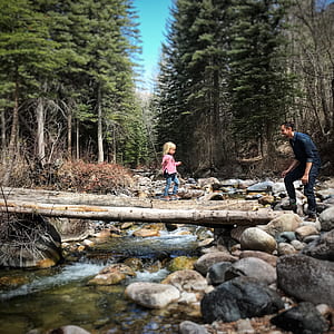 girl crossing on log bridge over river while man waiting on the other side in woods during daytime thumbnail