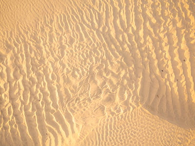 landscape photo of sand dunes thumbnail