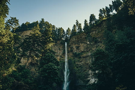 waterfalls surrounded by green leaf trees photo thumbnail