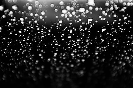 closeup photo of dew drop thumbnail