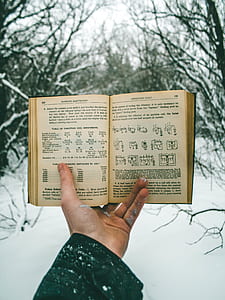 person holding opened book thumbnail
