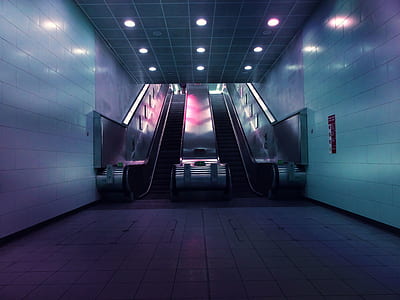 Landscape Photo of Two Escalators thumbnail