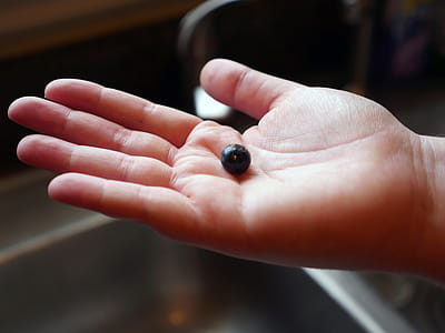 A persons hand holding a single blueberry over a sink after it had been washed thumbnail