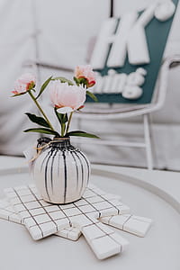 Peony flowers in vase thumbnail