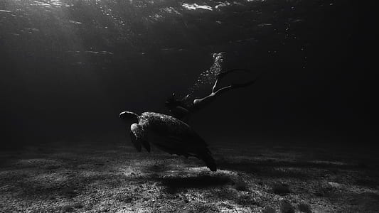 photo of woman and turtle under sea thumbnail