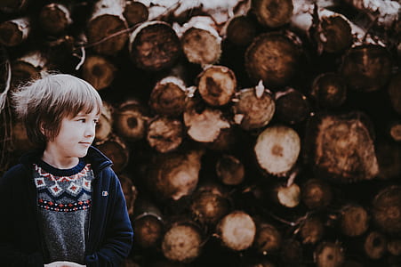 boy beside wood logs thumbnail