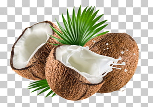 Coconut milk Coconut water Nata de coco Coconut oil, coconut, coconut fruit illustration PNG clipart