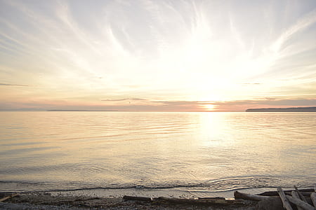 seashore and body of water thumbnail