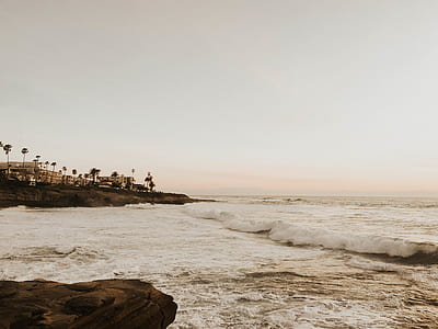 seawaves near seashore with coconut trees thumbnail