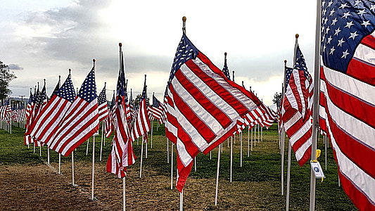 U.S.A flags thumbnail