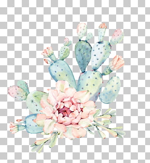 Cactaceae Watercolor painting Succulent plant Euclidean , Hand painted watercolor flowers, green plants cactus, green and pink cactus PNG clipart