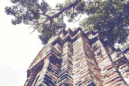 building, bricks, architecture, tree thumbnail