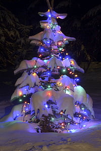 lighted Christmas tree thumbnail