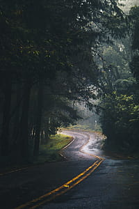 Photography of Asphalt Road Near Trees thumbnail