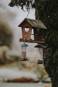 selective focus photography of brown birdhouse thumbnail