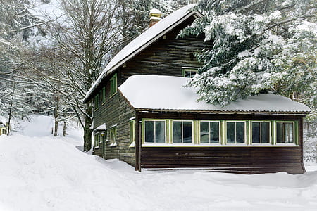 cold, snow, wood, landscape thumbnail