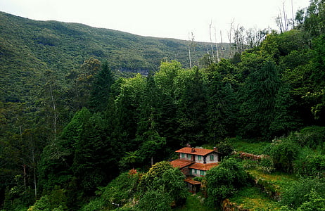 house on top of mountain surrounded by trees thumbnail