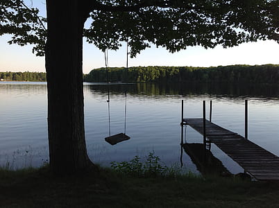 silhouette of swing hanging on tree near boat dock thumbnail