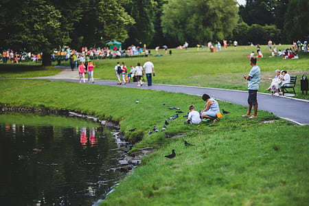 Feeding the pigeons thumbnail