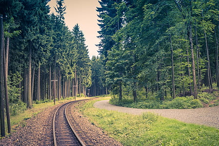 empty train railroad thumbnail