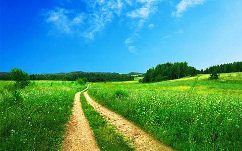 landmark photography of road surrounded with grass thumbnail