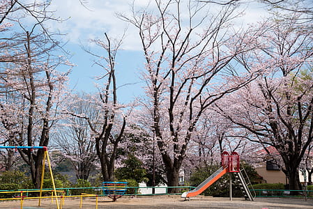 Photography of Playground thumbnail