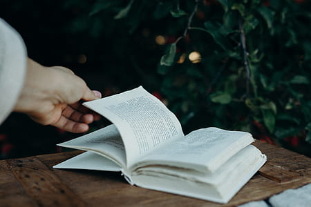 person holding opened book thumbnail