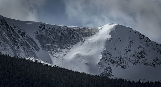 snow-covered mountain and trees thumbnail