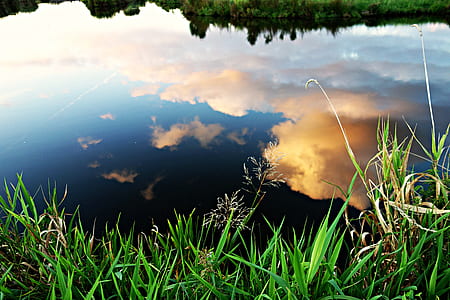 Reflection of White Clouds on Pond thumbnail