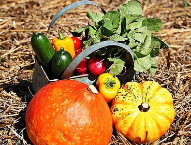 assorted vegetables on top of brown dried grass thumbnail