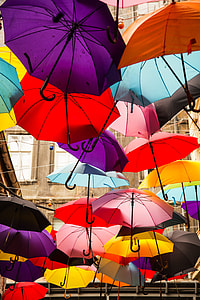 purple, red, yellow, and grey umbrellas thumbnail