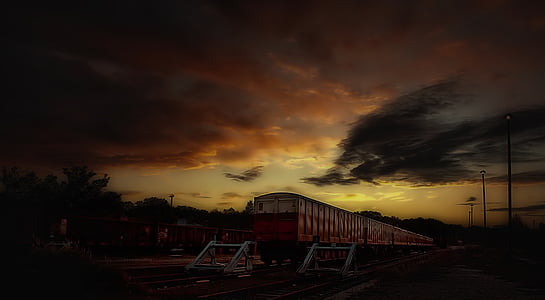 timelapse photo of train and silhouette trees thumbnail