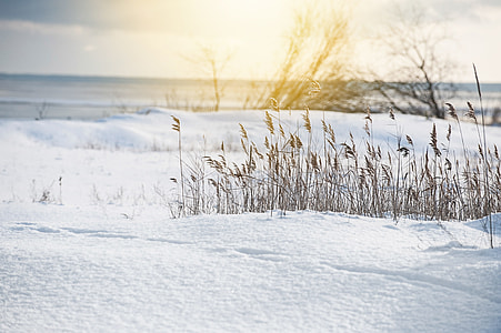 Sunny winter landscape thumbnail