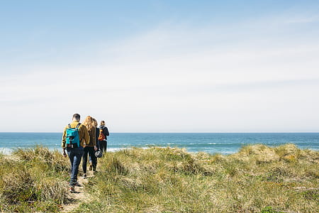 four people walking near ocean under blue sky thumbnail