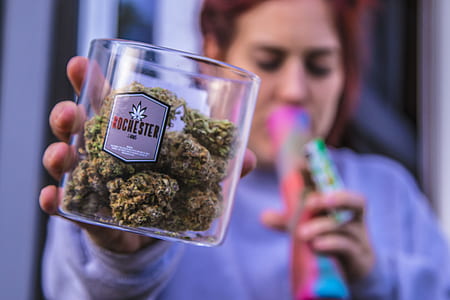 person holding marijuana buds thumbnail