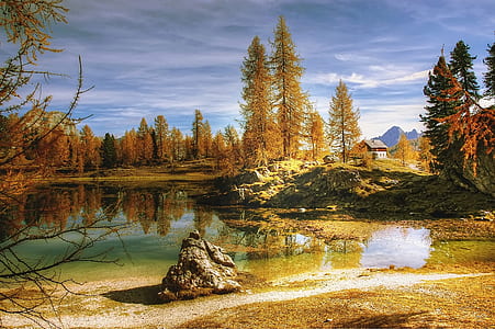 lake near trees and house under cumulus clouds thumbnail