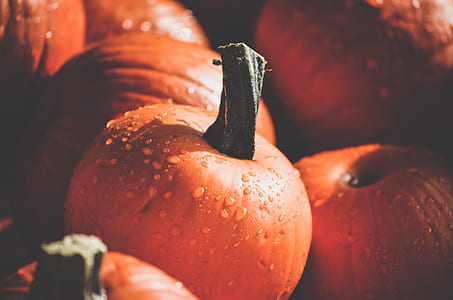 orange pumpkins with water thumbnail