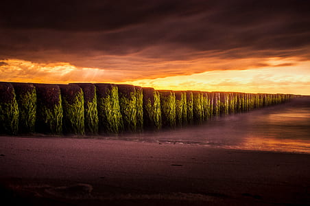 seashore during golden hour view thumbnail