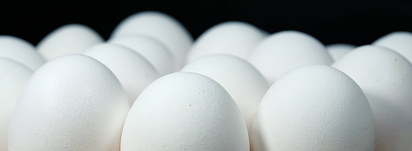 photography of chicken eggs thumbnail