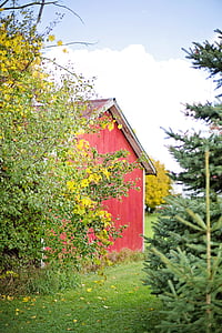 red cabin surrounded by flowers thumbnail