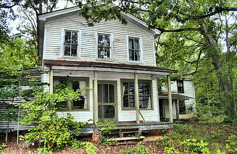 white wooden 2-story house in middle of forest thumbnail