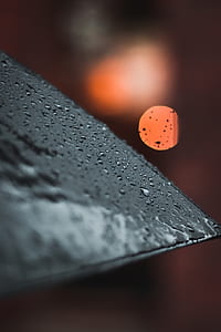 rain, umbrella, bokeh, orange thumbnail