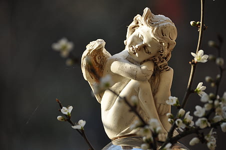 selective focus photography of white angel figurine thumbnail
