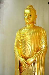 gold Gautama Buddha statue thumbnail