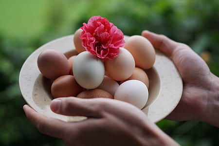 person holding round brown ceramic plate with eggs thumbnail
