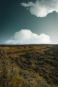 High Angle Photography of Green Leafed Trees and Grass Field thumbnail