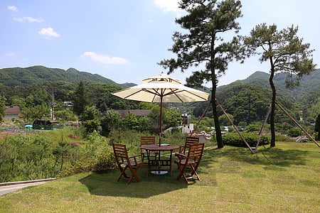 patio set near tree thumbnail